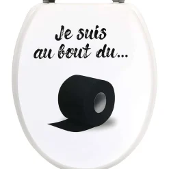 Abattant Wc 18 Pouces Attaches Acier Inoxydable Bout Rouleau