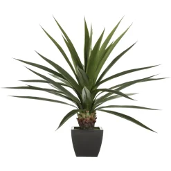 Atmosphera Agave Geante H.130Cm