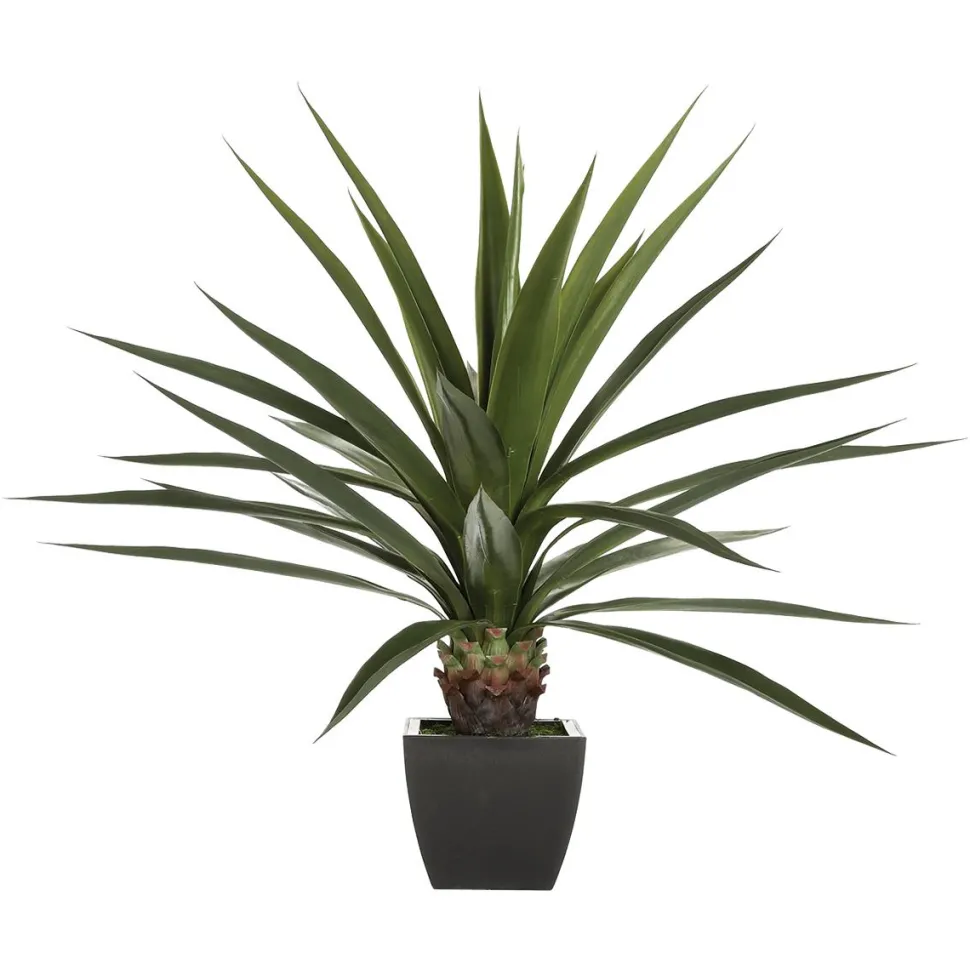 Atmosphera Agave Geante H.130Cm