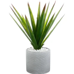 Atmosphera Aloe Vera Pot Ceramique H.48Cm