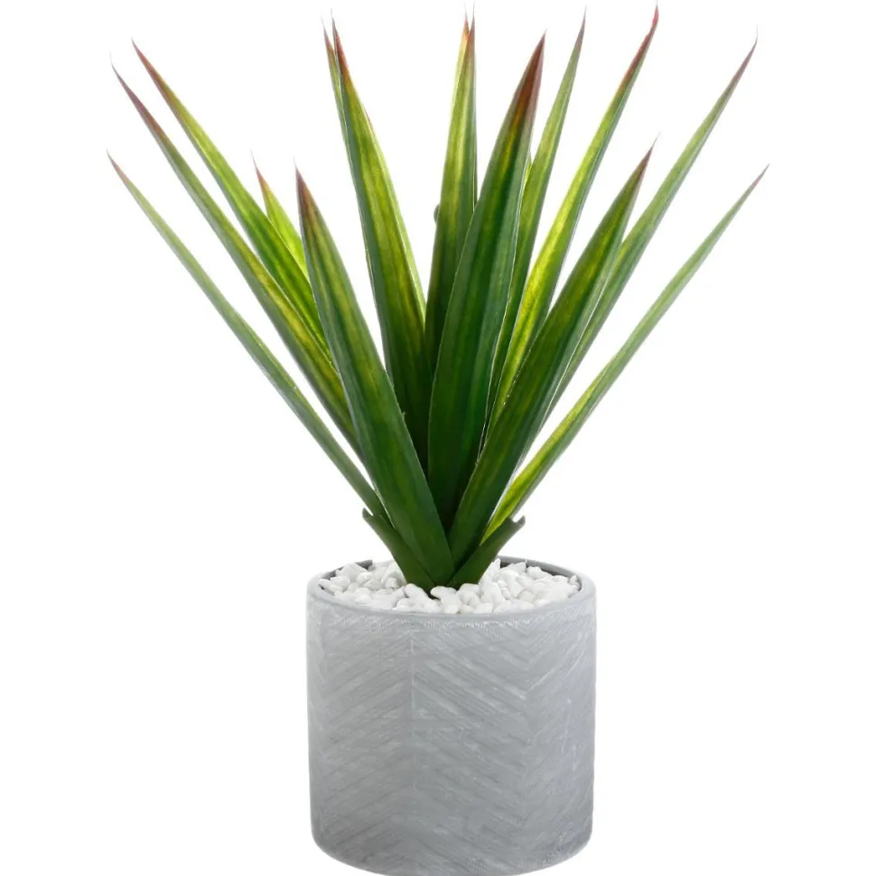 Atmosphera Aloe Vera Pot Ceramique H.48Cm