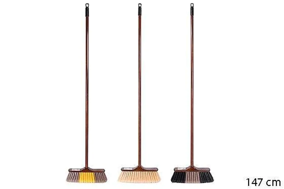 Balai Paris Avec Manche