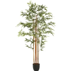 Atmosphera Bambou Artificiel En Pot H.180Cm