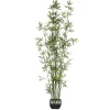 Atmosphera Bambou Pot Ceramique H.180Cm