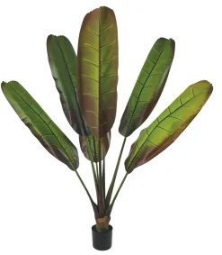 maxibazar Bananier 6 Feuilles Pot H.160Cm