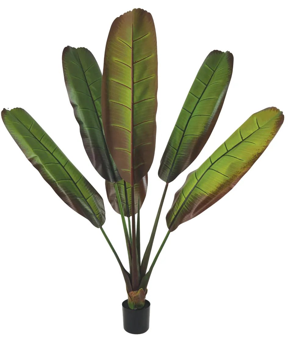 maxibazar Bananier 6 Feuilles Pot H.160Cm