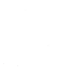 maxibazar Bobineau Adhesif 0.45X2 Ml Uni Blanc