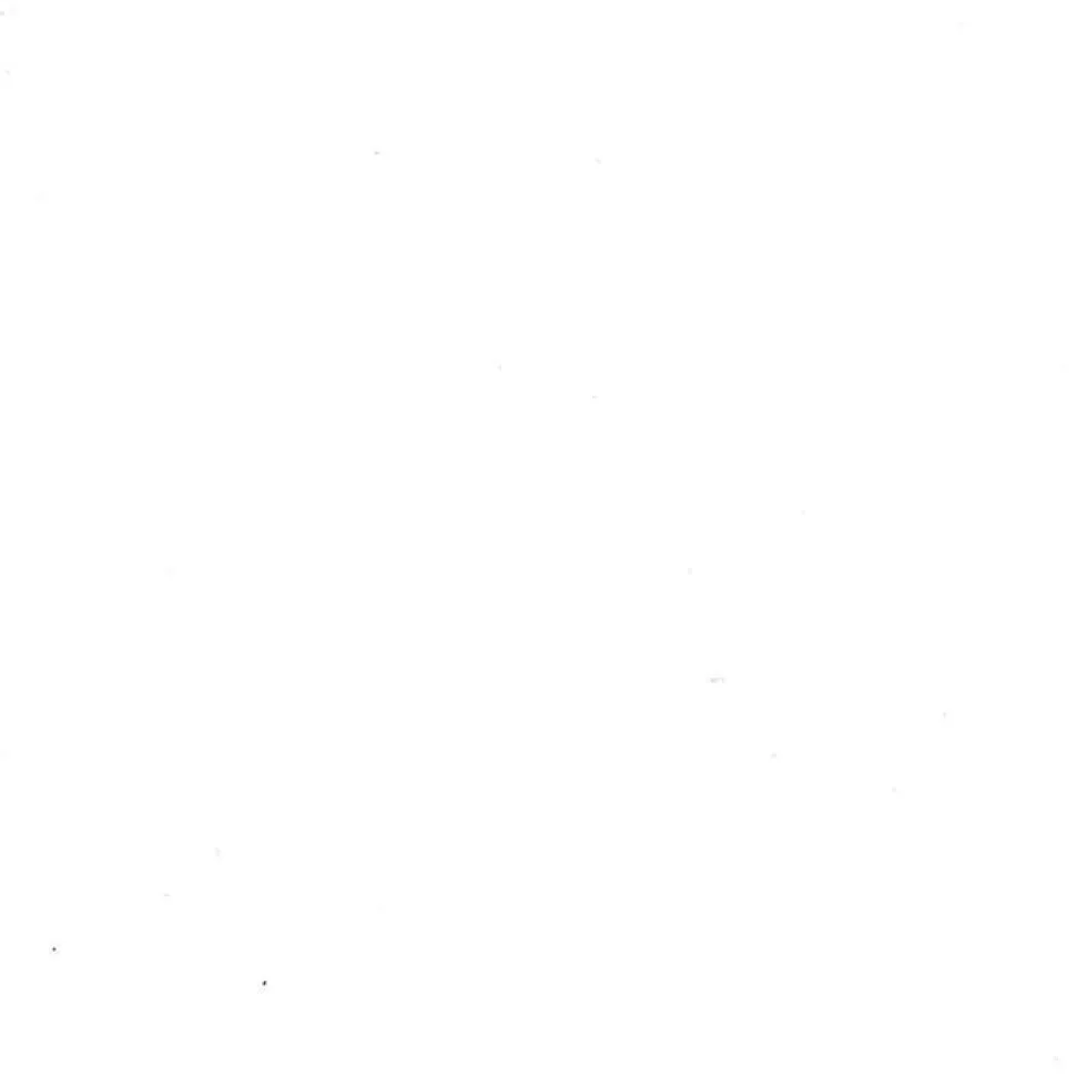 maxibazar Bobineau Adhesif 0.45X2 Ml Uni Blanc