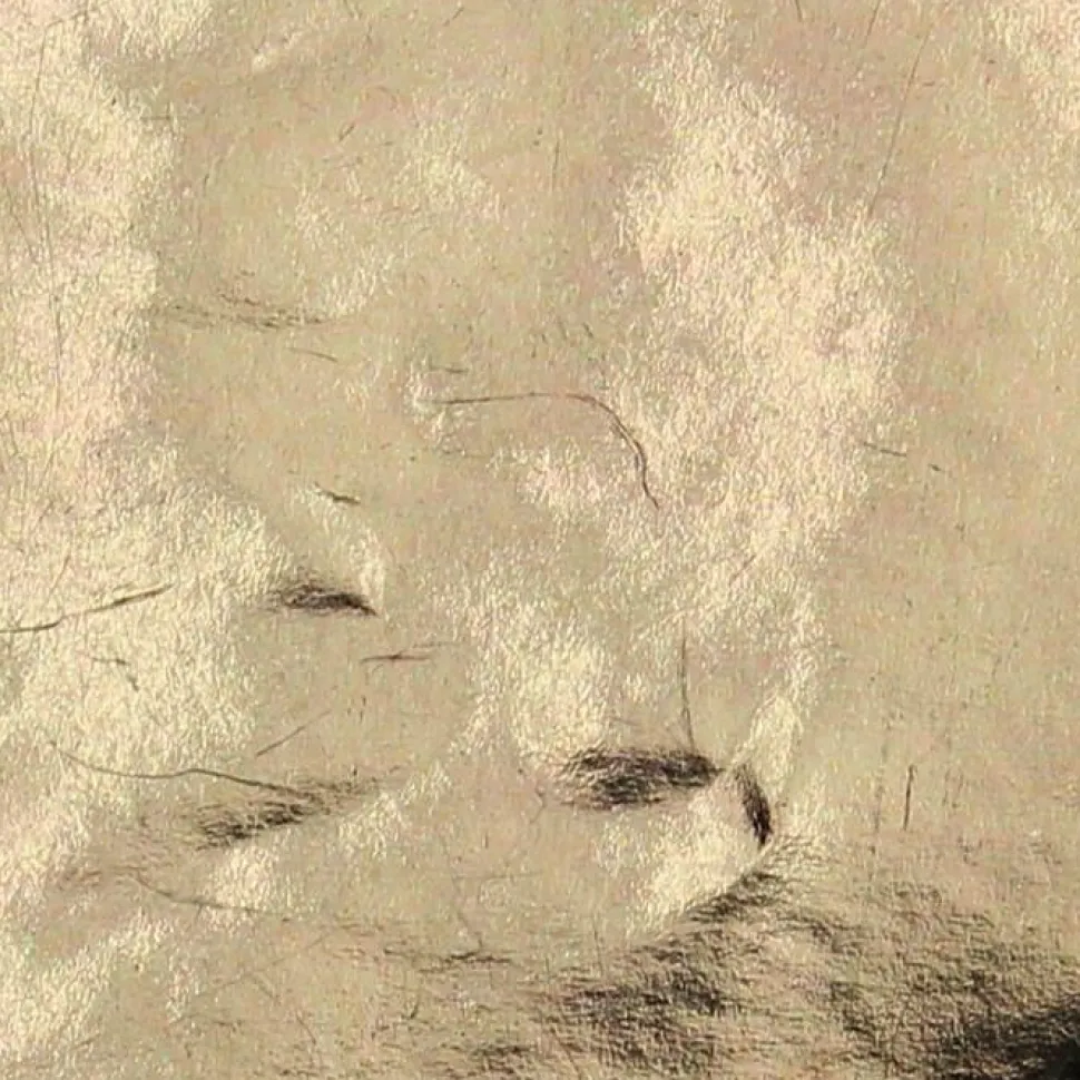 maxibazar Bobineau Adhesif 0.45X2 Ml Uni Brillance Or