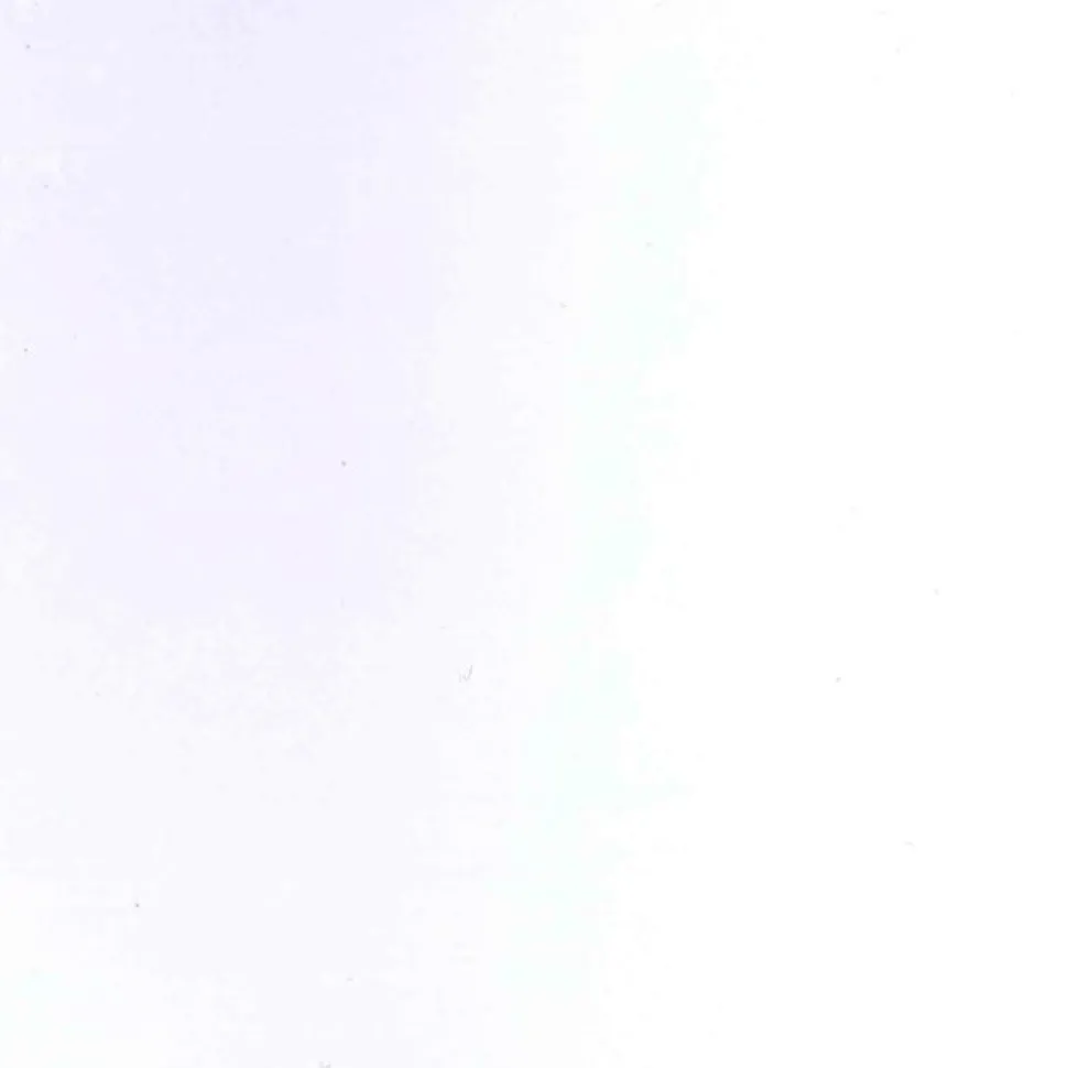 maxibazar Bobineau Adhesif 0.45X2 Ml Uni Transparent