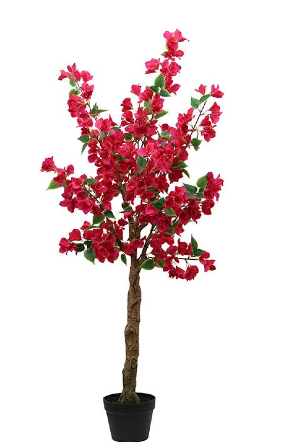 maxibazar Bougainvillier Pot Plastique H.130Cm