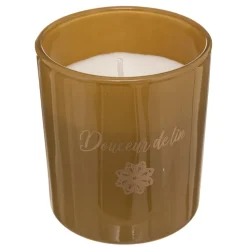 maxibazar Bougie Parfumee Verre Boite Carmen 130G