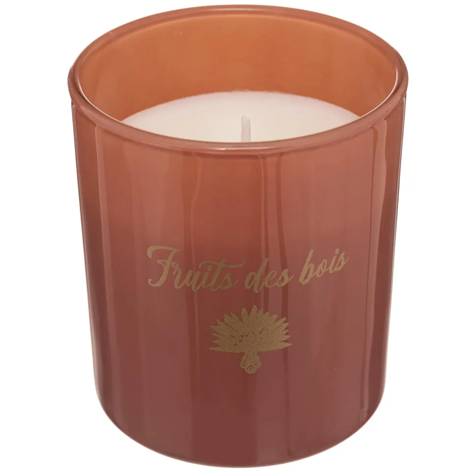 maxibazar Bougie Parfumee Verre Boite Carmen 130G