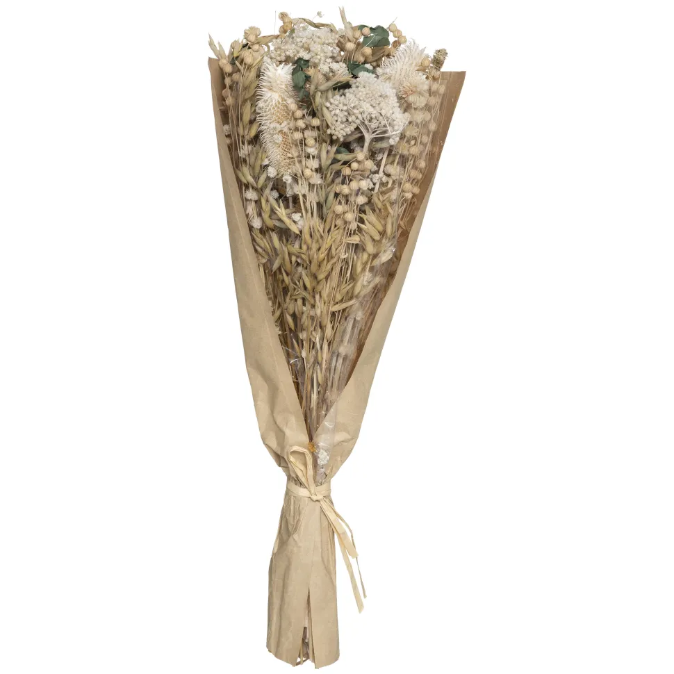 maxibazar Bouquet Composition Chardon Naturel