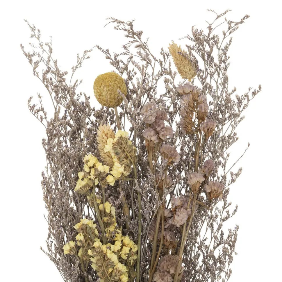 Atmosphera Bouquet Fleurs Sechees H.50Cm