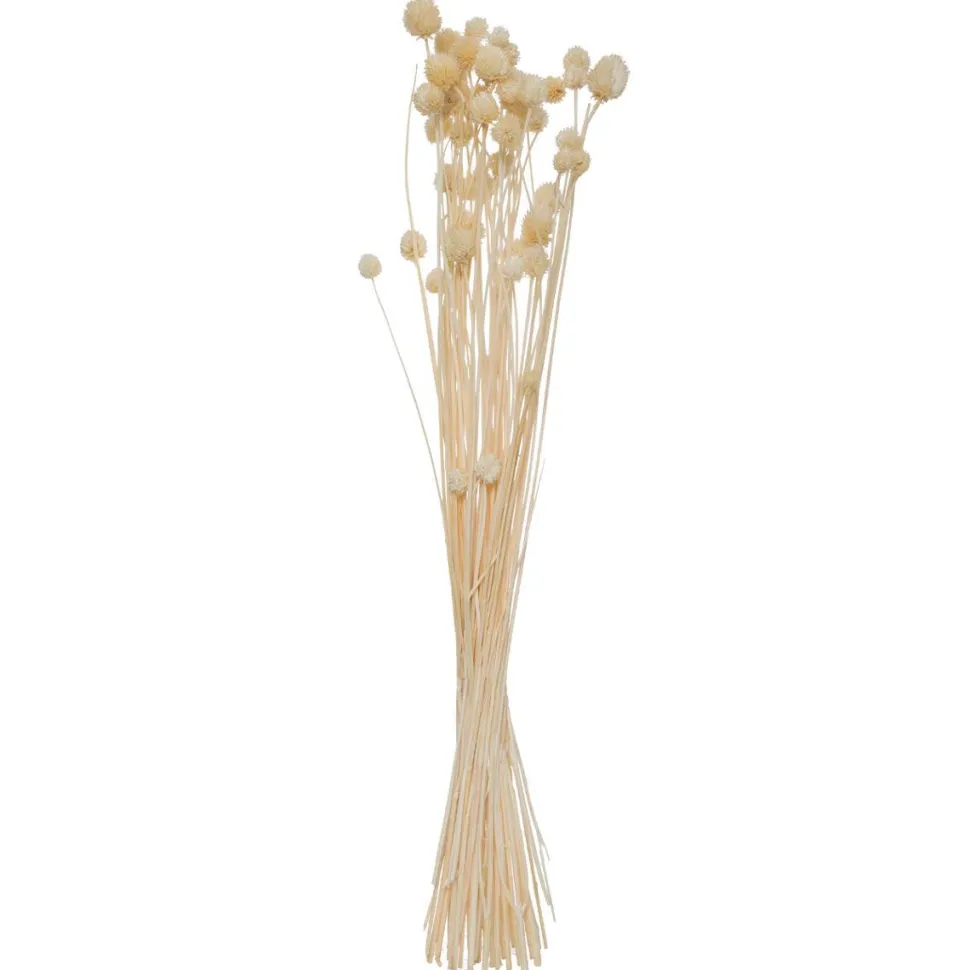 Atmosphera Bouquet Seche