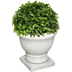 Atmosphera Buis Pot Romance H.16Cm