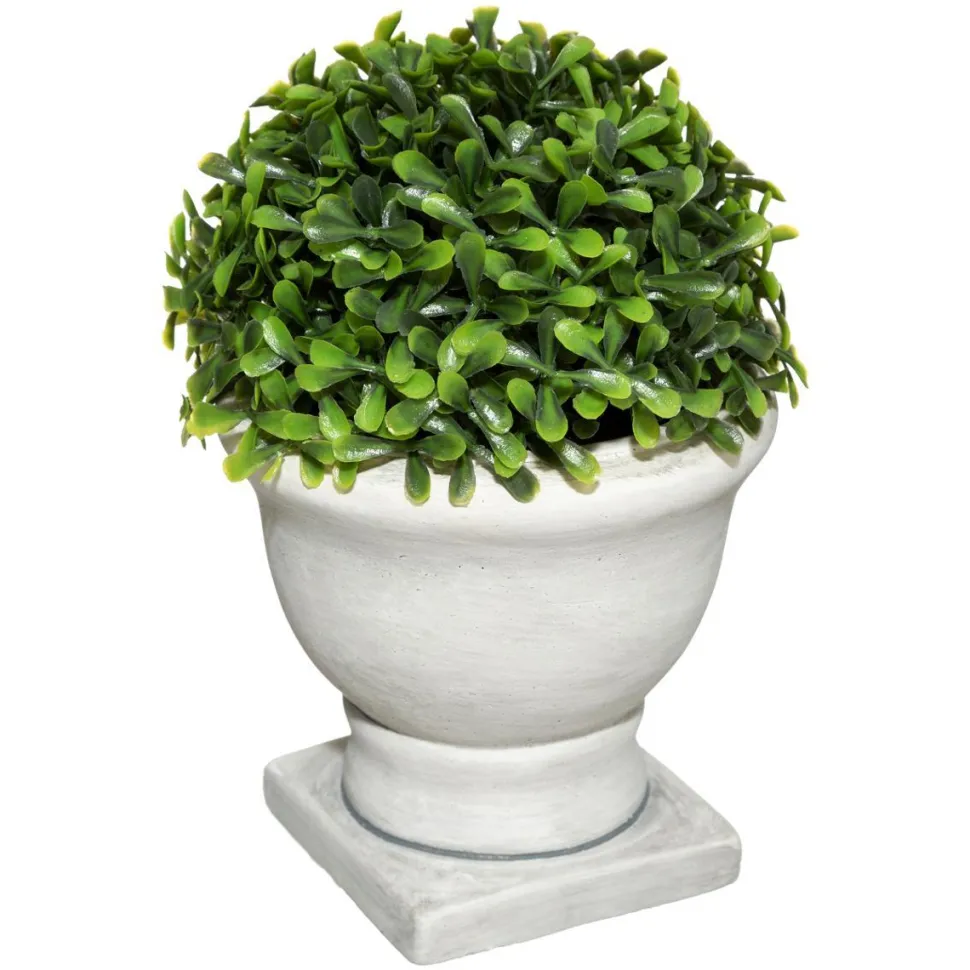 Atmosphera Buis Pot Romance H.16Cm