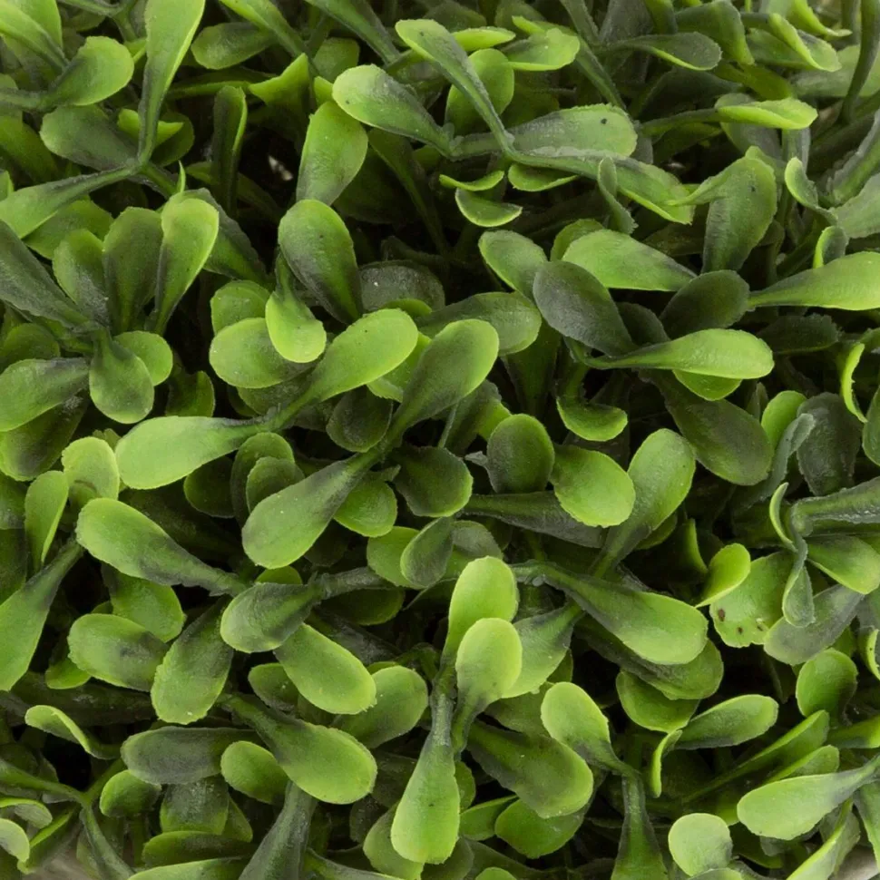 Atmosphera Buis Pot Romance H.16Cm