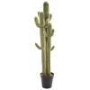 Atmosphera Cactus 3 Troncs H.148Cm