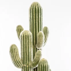 Atmosphera Cactus 3 Troncs H.148Cm