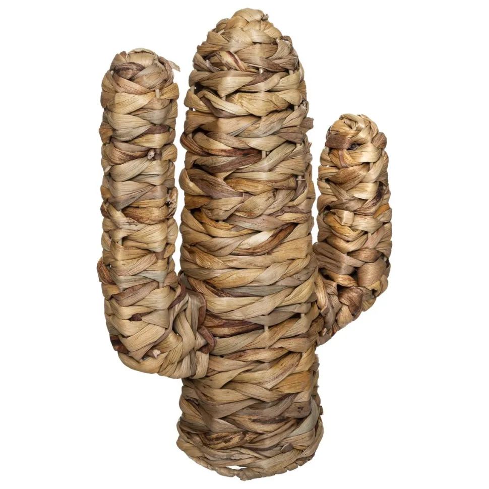 Atmosphera Cactus Hacienda D.26X11.5X35Cm