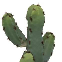 Atmosphera Cactus Pot Ceramique Effet Terracotta H.24Cm