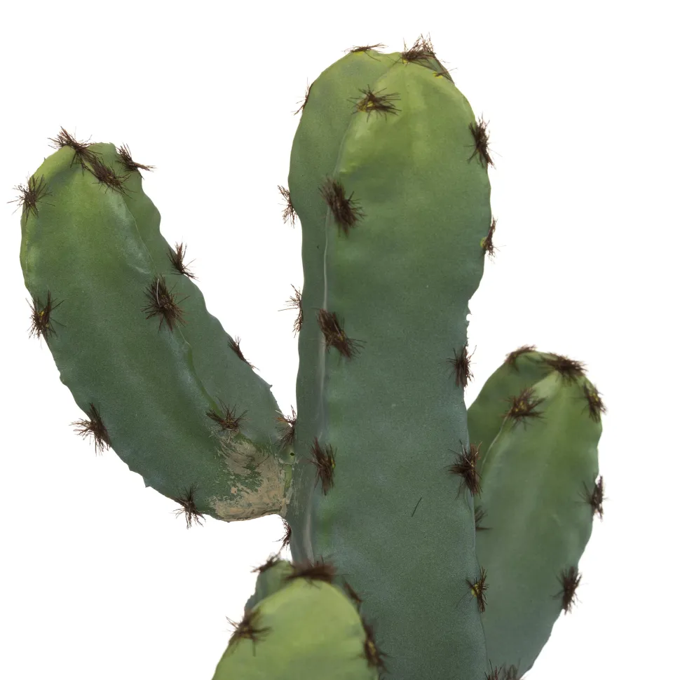 Atmosphera Cactus Pot Ceramique Effet Terracotta H.24Cm