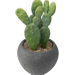 Atmosphera Cactus Pot Ciment Noir D.6.5Cm
