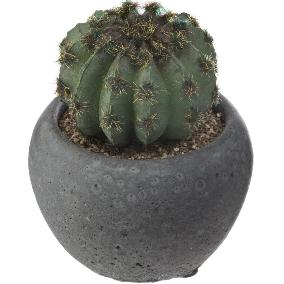 Atmosphera Cactus Pot Ciment Noir D.6.5Cm