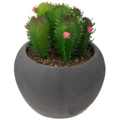Atmosphera Cactus Pot Ciment Noir D.6.5Cm