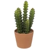 maxibazar Cactus Pot Terracotta Alicante H.25Cm