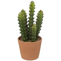 maxibazar Cactus Pot Terracotta Alicante H.25Cm