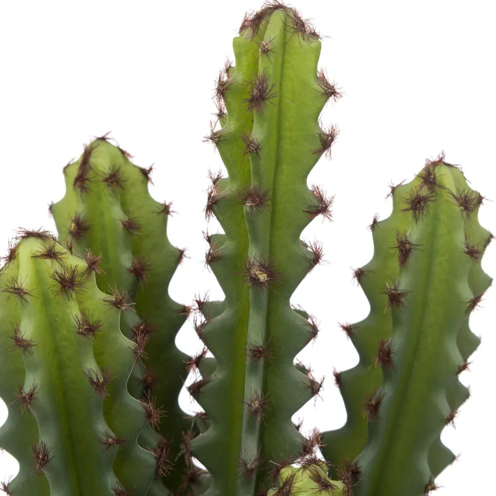 maxibazar Cactus Pot Terracotta Alicante H.25Cm