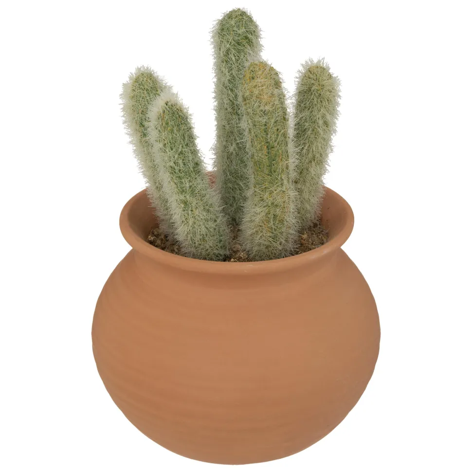maxibazar Cactus Pot Terracotta H.16.5Cm
