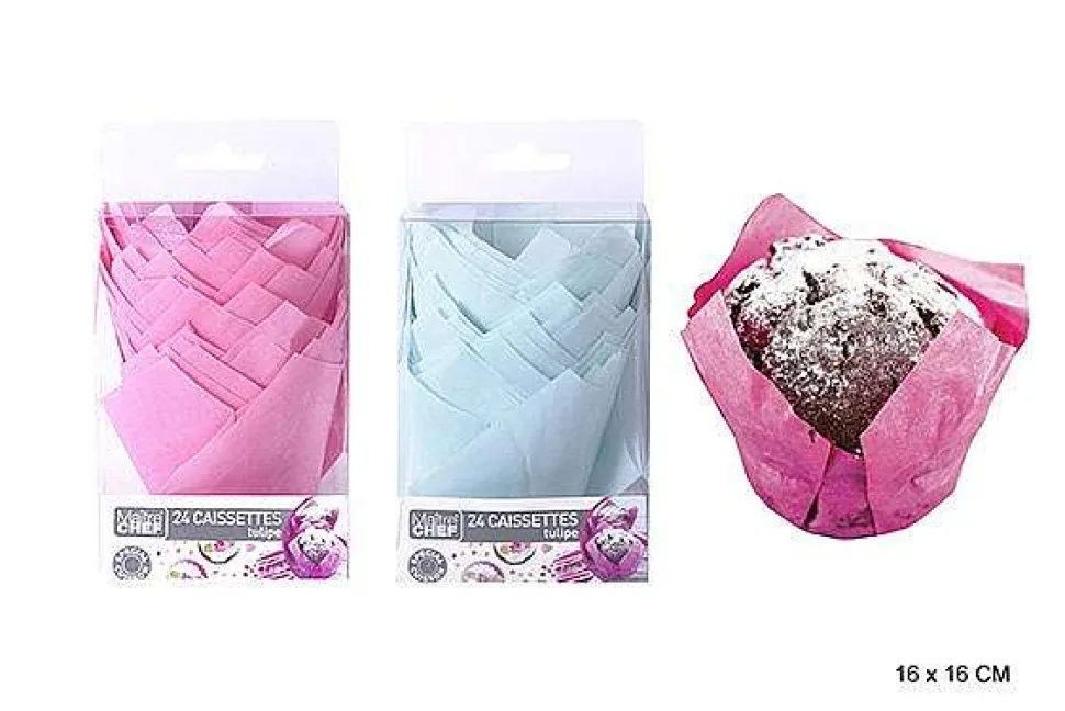 Caissette Tulipe Couleur 16X16Cm X24Pcs