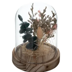 Atmosphera Cloche Fleur Seche House H.16.5Cm