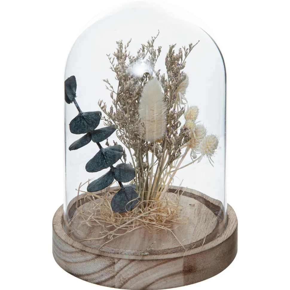 Atmosphera Cloche Fleur Seche House H.16.5Cm