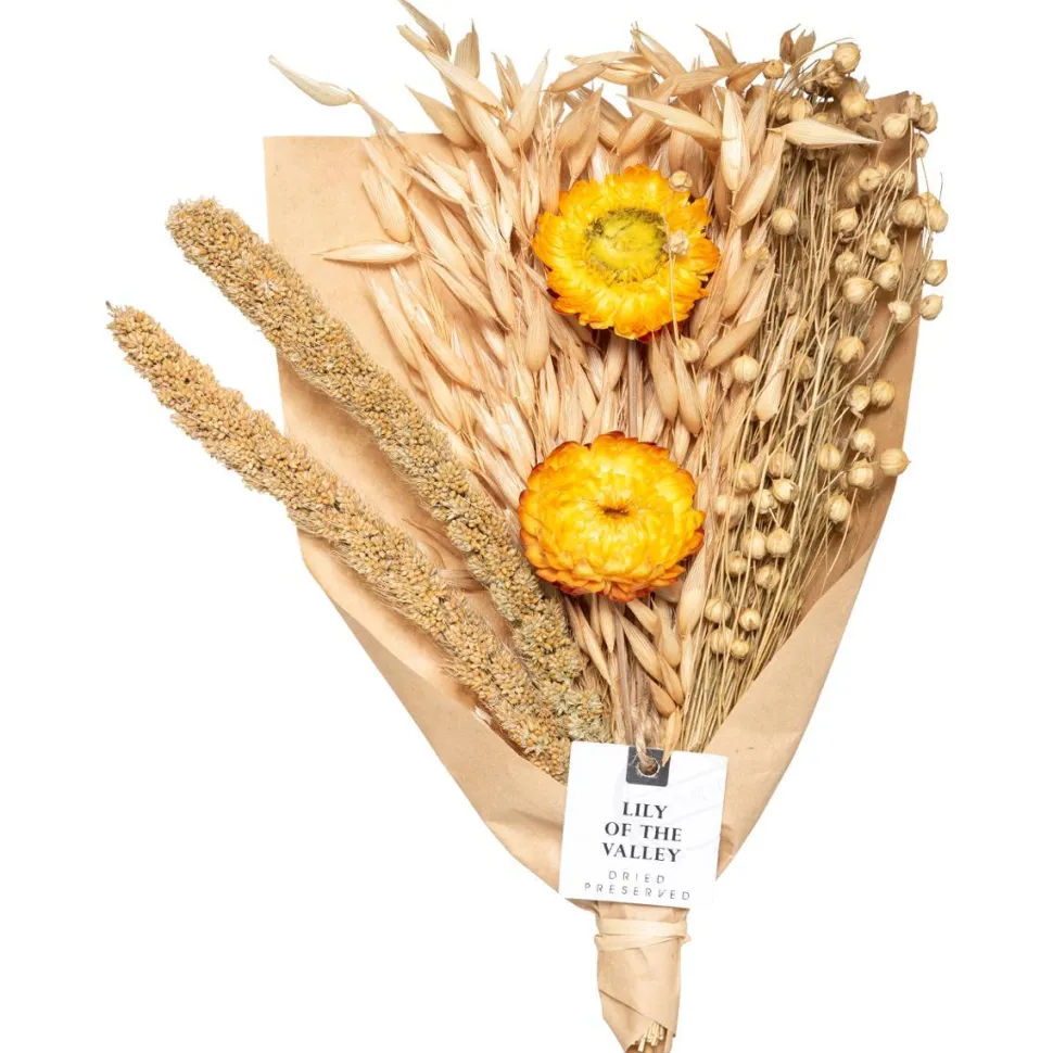 Atmosphera Coffret Fleurs Sechees Spray 10Ml