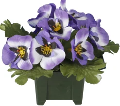 maxibazar Columbarium Pot Pensees