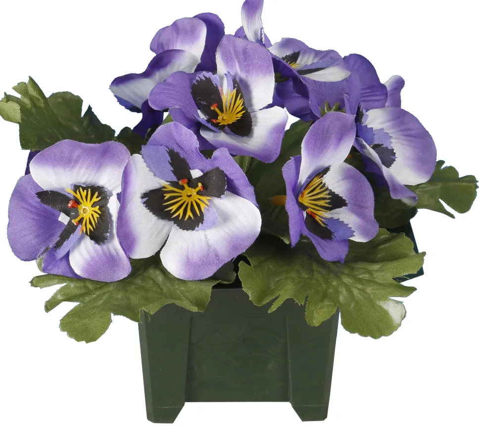 maxibazar Columbarium Pot Pensees