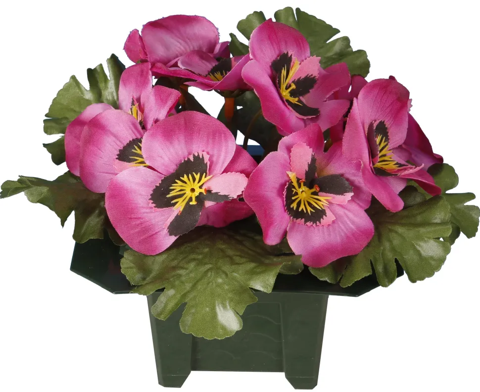 maxibazar Columbarium Pot Pensees