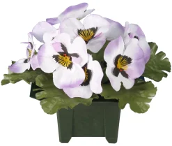 maxibazar Columbarium Pot Pensees