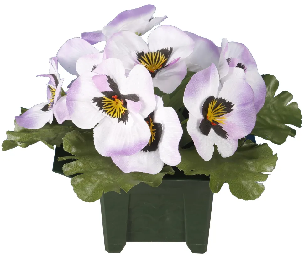 maxibazar Columbarium Pot Pensees