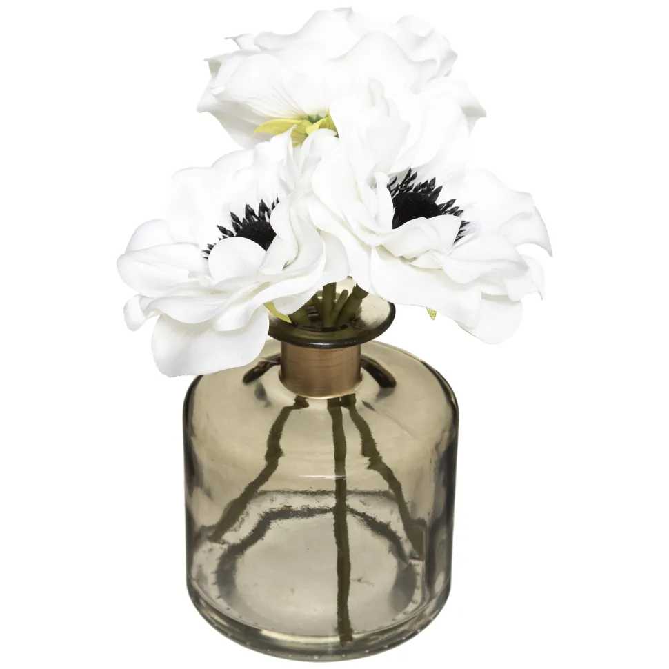 maxibazar Composiition Anemone Vase Verre Suite