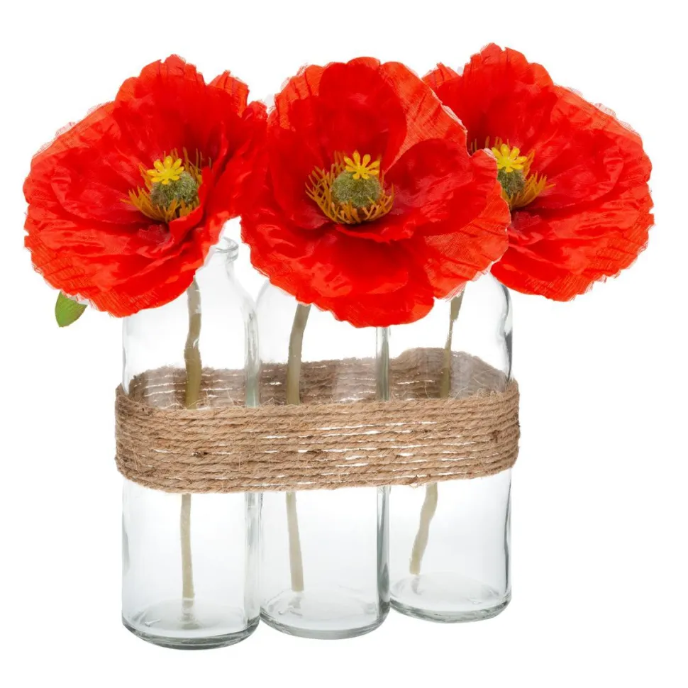 Atmosphera Composition Coquelicot Tube Verre H.23Cm X3