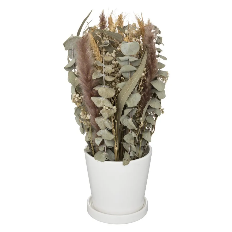 maxibazar Composition Fleurs Sechees Pot Ceramique