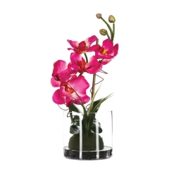 Atmosphera Composition Orchidees Vase Verre H.37Cm