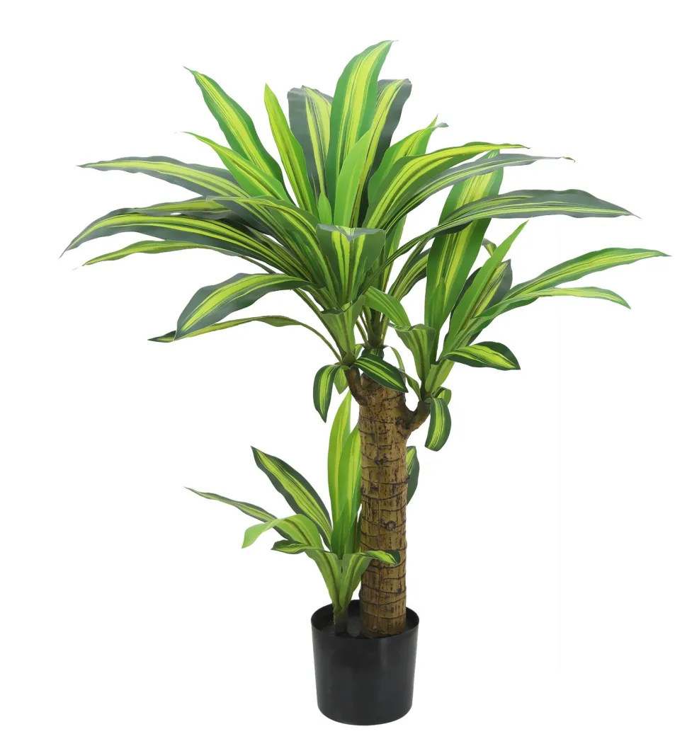 maxibazar Dracena 58 Feuilles Tronc Pot H.80Cm