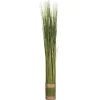 Atmosphera Fagot D Herbe H.79X8Cm